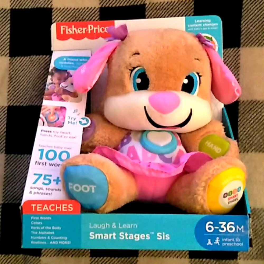 Brand new Laugh and learn Smart Sis